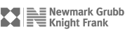 NKF-logo 2